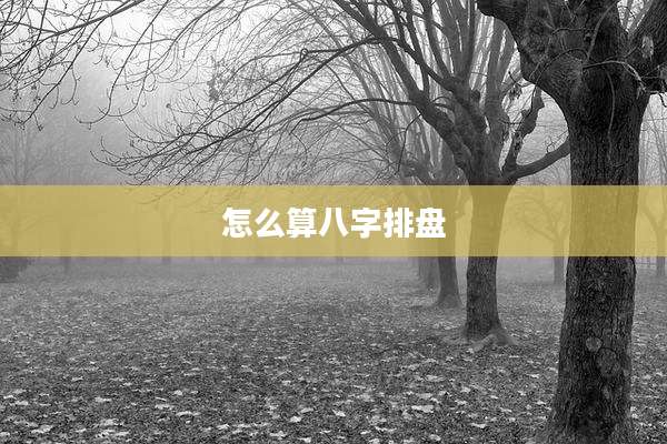 怎么算八字排盘