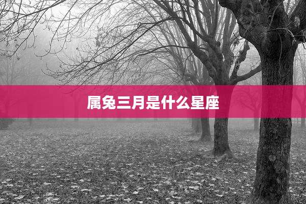 属兔三月是什么星座