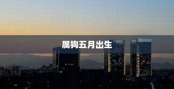 属狗五月出生