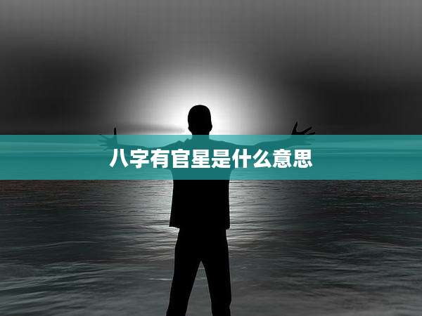 八字有官星是什么意思
