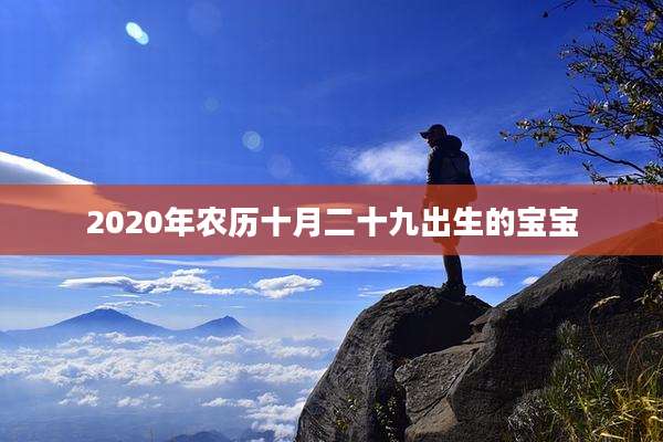 2020年农历十月二十九出生的宝宝