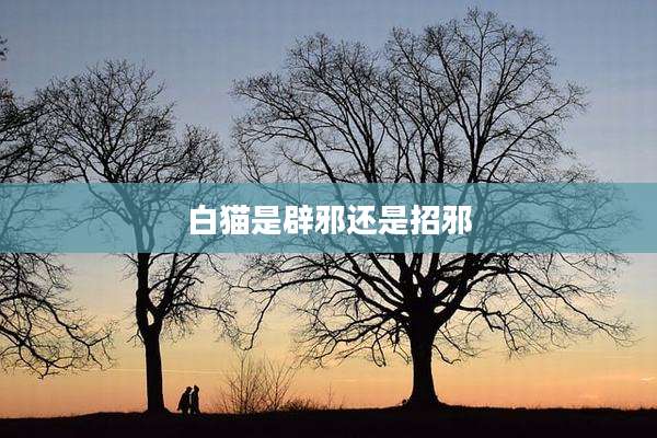 白猫是辟邪还是招邪