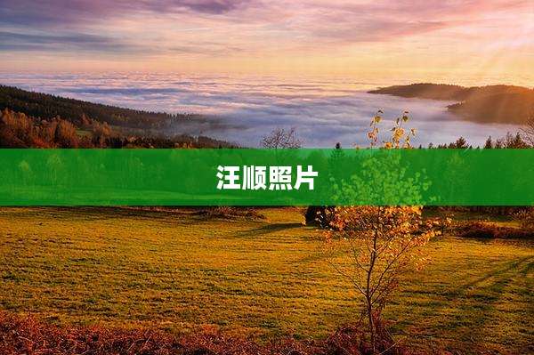 汪顺照片