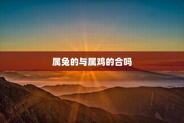 属兔的与属鸡的合吗