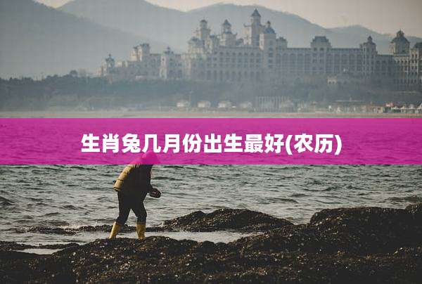 生肖兔几月份出生最好(农历)