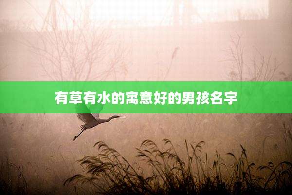 有草有水的寓意好的男孩名字