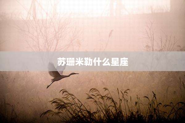 苏珊米勒什么星座