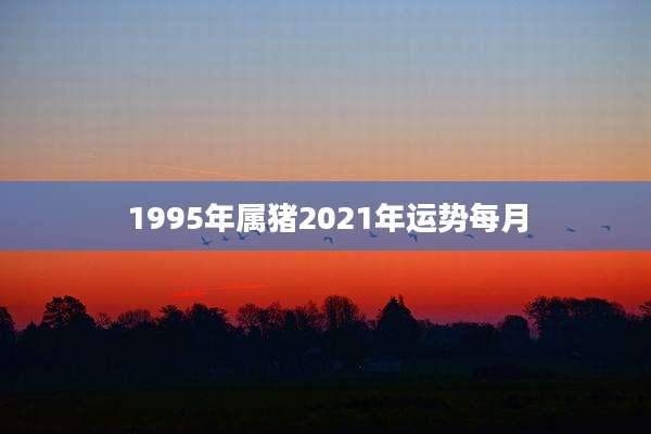 1995年属猪2021年运势每月