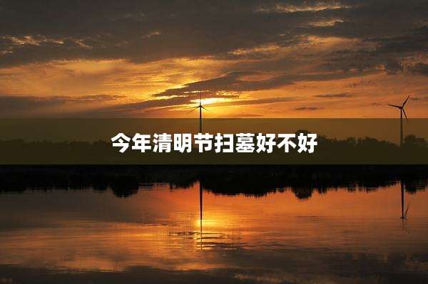 今年清明节扫墓好不好