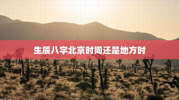 生辰八字北京时间还是地方时