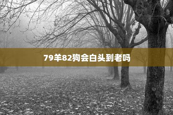 79羊82狗会白头到老吗