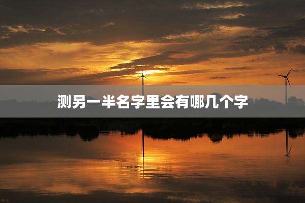 测另一半名字里会有哪几个字