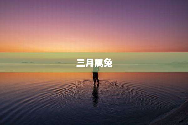 三月属兔