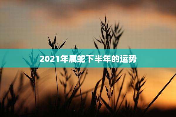 2021年属蛇下半年的运势
