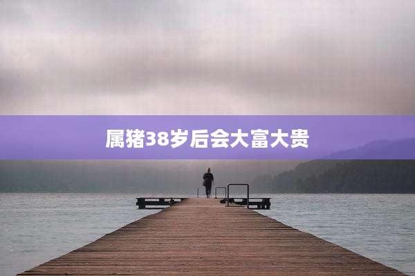 属猪38岁后会大富大贵