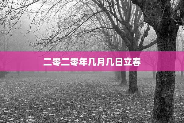二零二零年几月几日立春