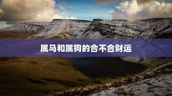 属马和属狗的合不合财运