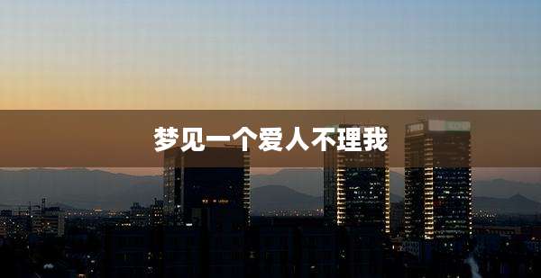 梦见一个爱人不理我