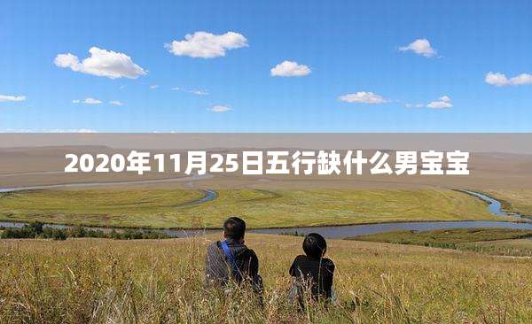 2020年11月25日五行缺什么男宝宝