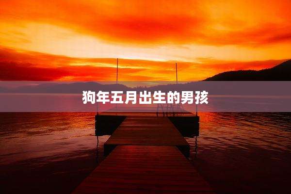 狗年五月出生的男孩