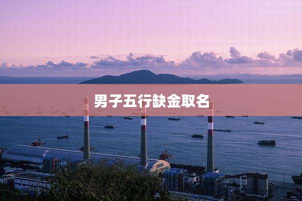 男子五行缺金取名