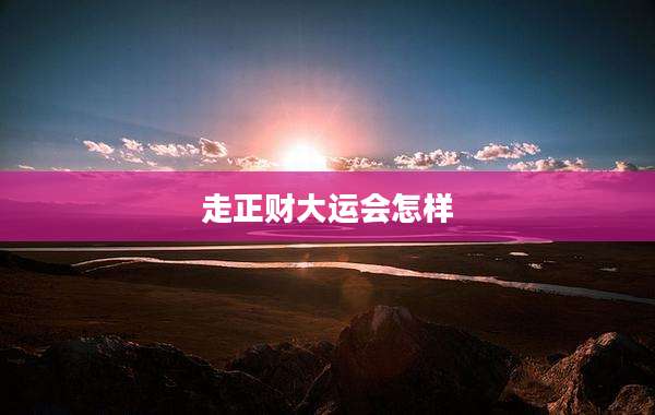 走正财大运会怎样