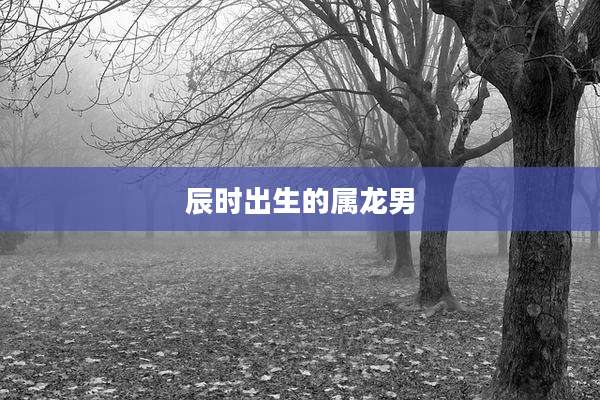 辰时出生的属龙男