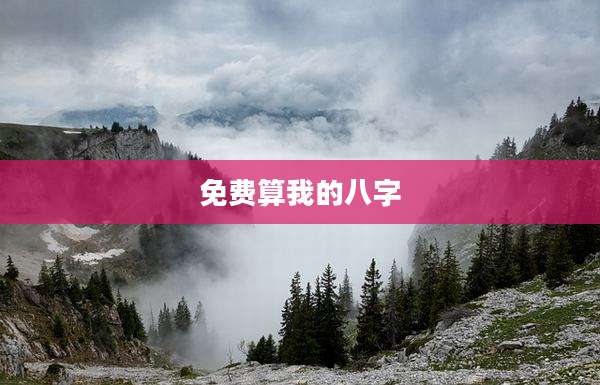 免费算我的八字