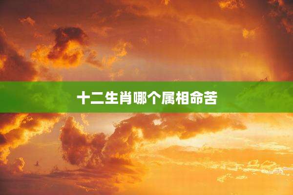 十二生肖哪个属相命苦