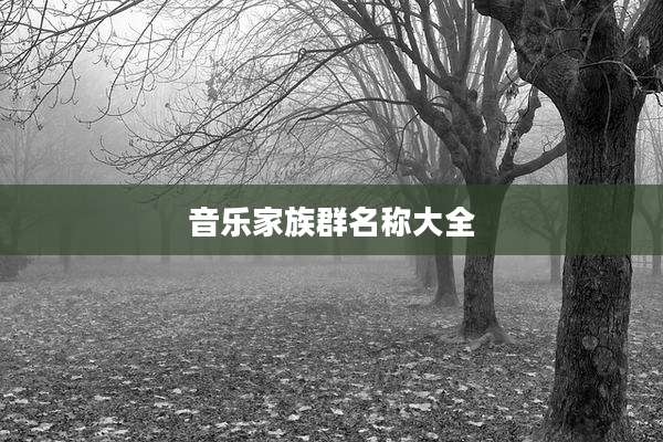 音乐家族群名称大全