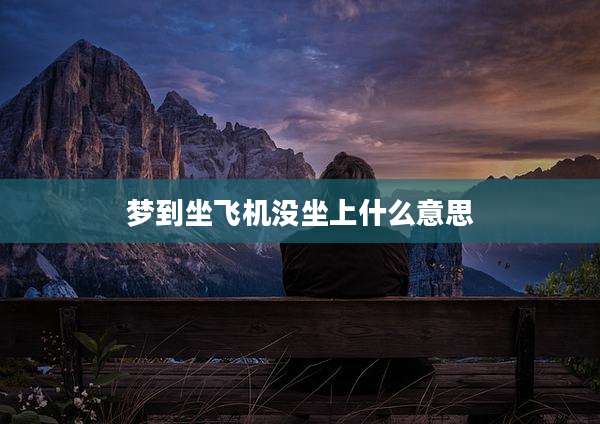 梦到坐飞机没坐上什么意思