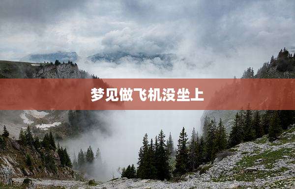 梦见做飞机没坐上