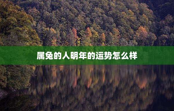属兔的人明年的运势怎么样