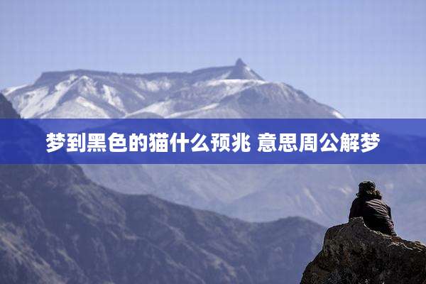 梦到黑色的猫什么预兆 意思周公解梦