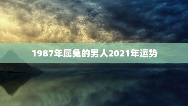 1987年属兔的男人2021年运势