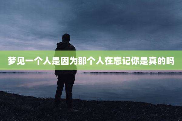 梦见一个人是因为那个人在忘记你是真的吗