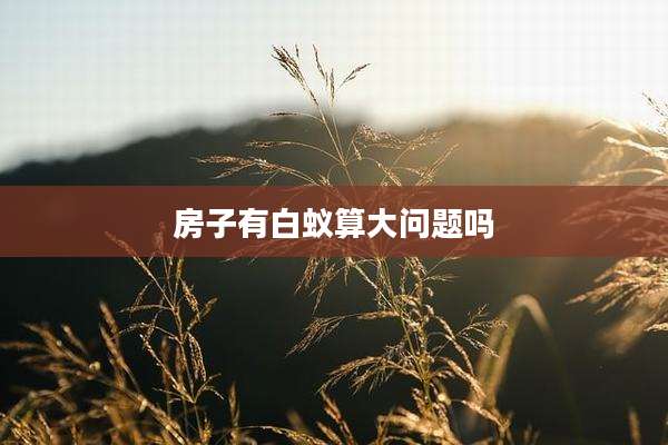 房子有白蚁算大问题吗