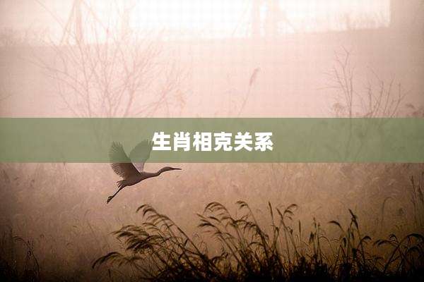 生肖相克关系