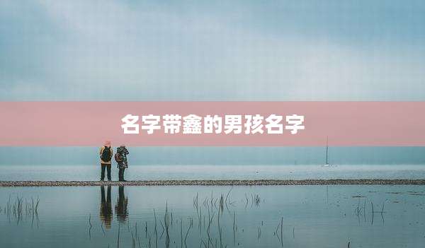 名字带鑫的男孩名字