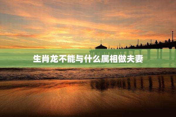 生肖龙不能与什么属相做夫妻