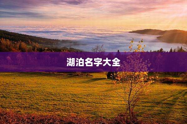 湖泊名字大全