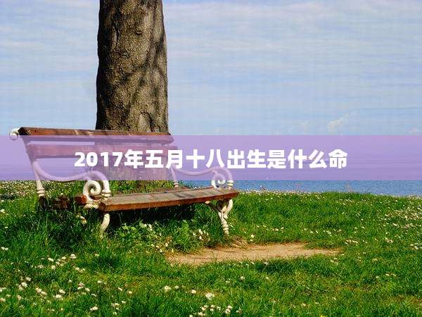 2017年五月十八出生是什么命
