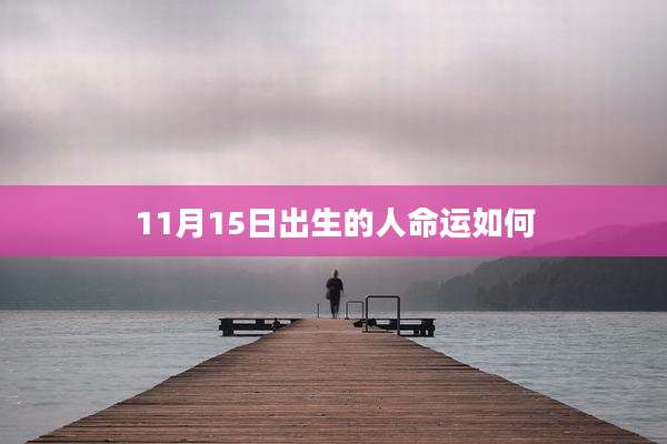 11月15日出生的人命运如何