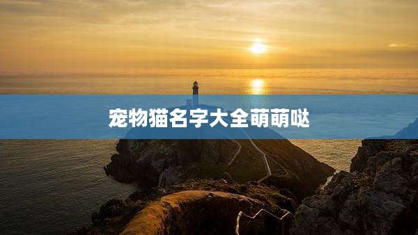 宠物猫名字大全萌萌哒