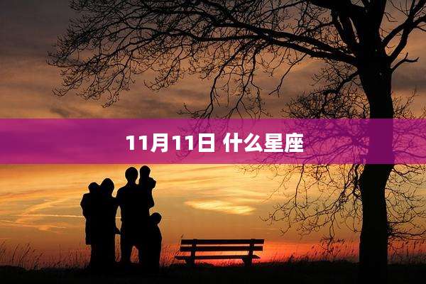 11月11日 什么星座