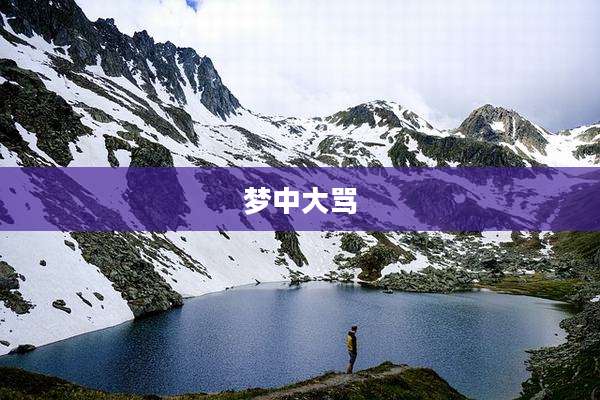 梦中大骂