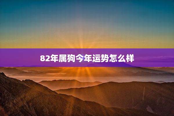 82年属狗今年运势怎么样