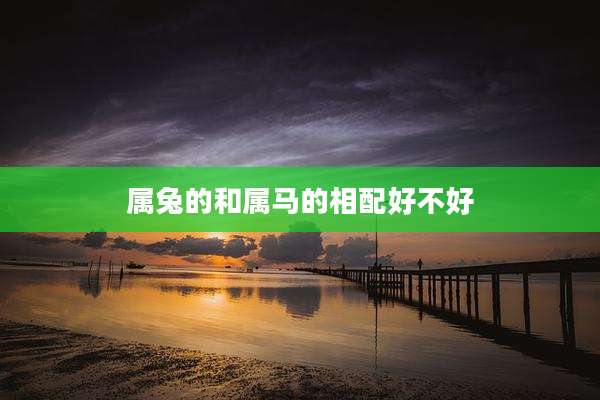 属兔的和属马的相配好不好