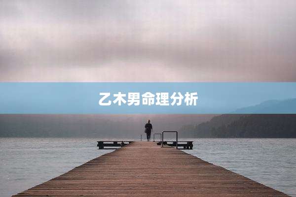 乙木男命理分析