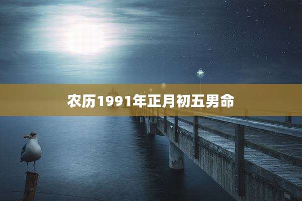 农历1991年正月初五男命